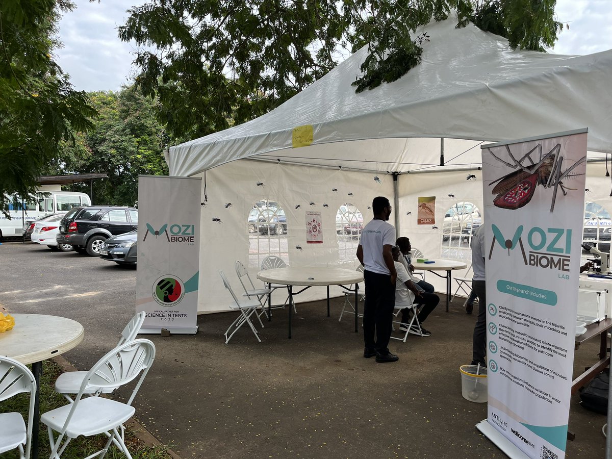 Noguchi Bacteriology (@noguchibact) on Twitter photo It’s #ScienceInTents Day!!
Opening ceremony ongoing at the <a href="/NMIMR_UG/">Noguchi Memorial Institute for Medical Research</a> Conference Hall.
#NoguchiBacteriology It’s #ScienceInTents Day!!
Opening ceremony ongoing at the <a href="/NMIMR_UG/">Noguchi Memorial Institute for Medical Research</a> Conference Hall.
#NoguchiBacteriology