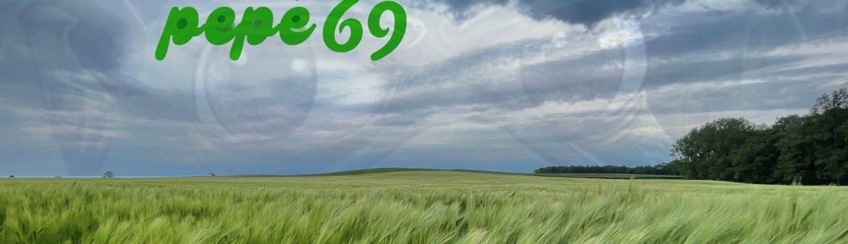 Cryptui0x's tweet photo. Gm to everone who has $PEPE as screen background 
#PEPEARMY #BitcoinIsAMEME https://t.co/CBm1wuj64D