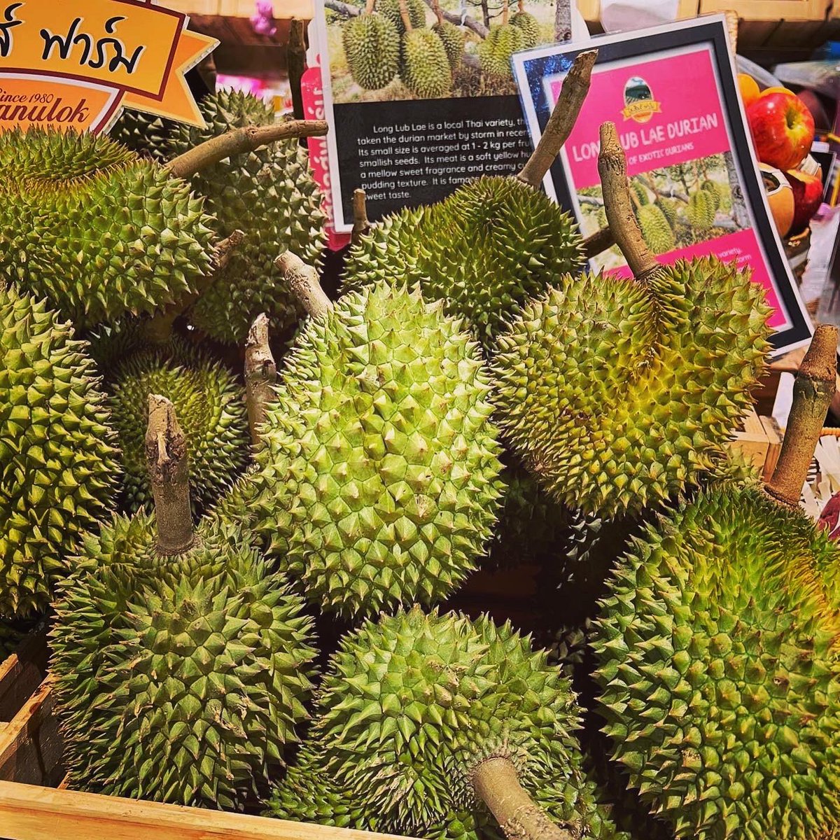 6thFormSHS's tweet image. As students begin the next leg of our @TuringScheme_UK, they get a taste of #thaiculture in Bangkok with their hosts from 
@MsuUniversity Demonstration School 🇹🇭 

#turingproject #internationalschoolaward @BritishCouncil  #21stcenturygrammar #everythingispossible