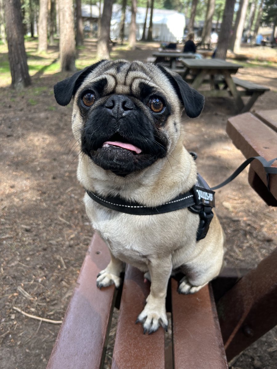 Pix 🎨 tweet media