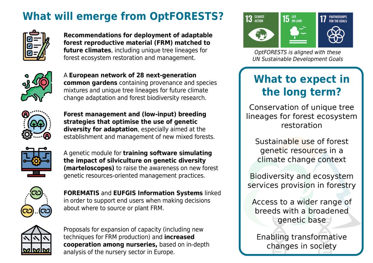 OptFORESTS's tweet photo. 💬What will result from the #OptFORESTS project? What key impacts are expected? Will they contribute to the @GlobalGoalsUN?

📩🌳If you want to get a quick snapshot of the project outputs &amp; scope, download our postcard now! #HorizonEU

https://t.co/ZZCeQksszx https://t.co/K2BES06b8g