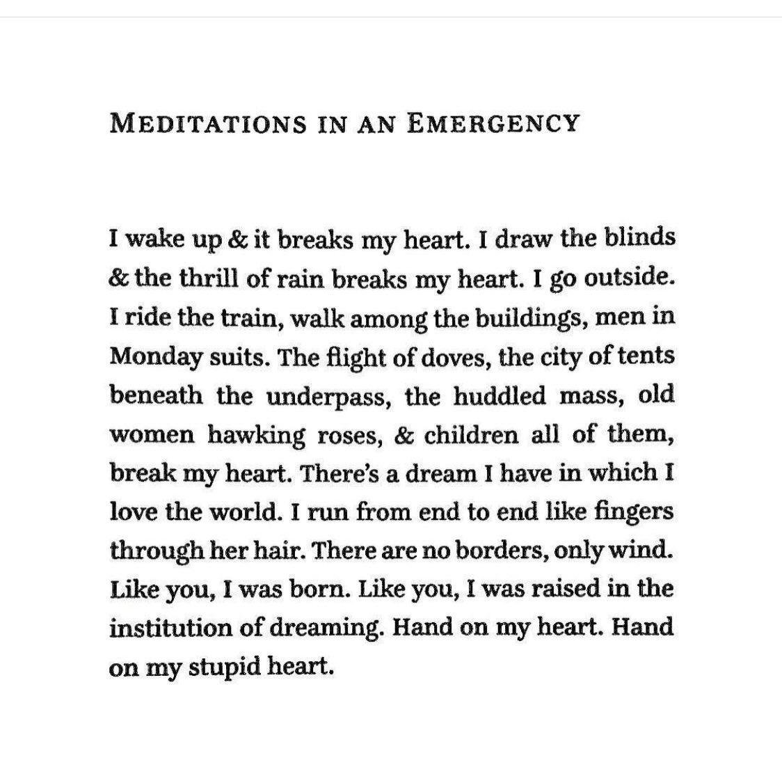 Sally Hayden tweet media