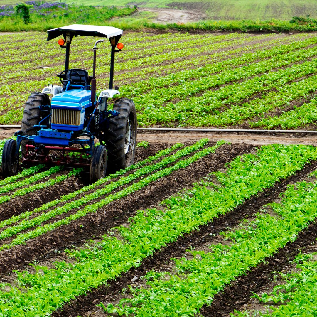 Bringing agility to agriculture. Our VTOL UAVs enable precision crop monitoring, optimizing yields while minimizing environmental impact. 🌾🌿 #PrecisionFarming #SustainableAgriculture