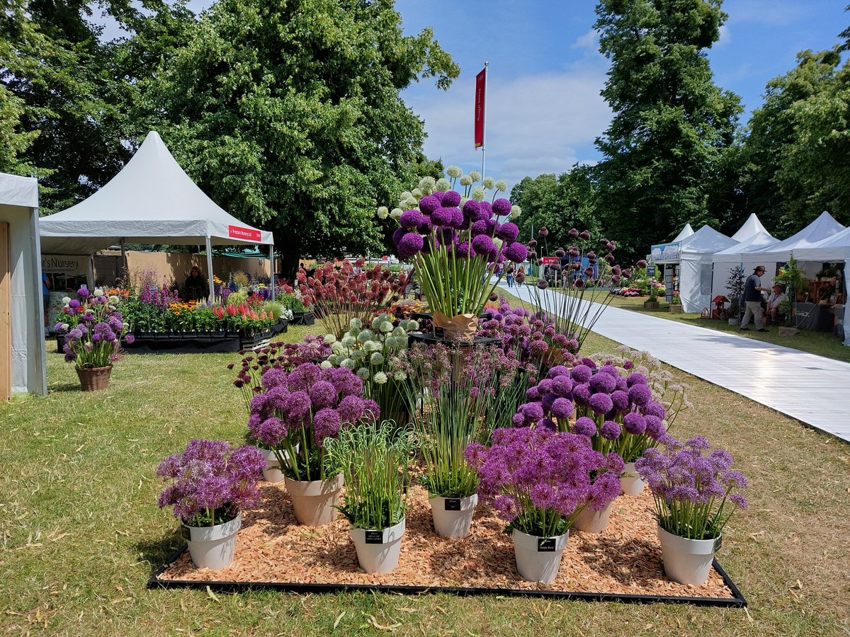 The RHS (@the_rhs) on Twitter photo Let the show begin! πͺ
From the awe-inspiring scents and splendour of our Festival of Roses and Floral Marquee, to creating a masterpiece with <a href="/Flowers_ft_Farm/">FlowersFromTheFarm</a> and exploring our Plant Village, #RHSHamptonCourt is full of wonders to enjoy this week πΈ
rhs.org.uk/shows-events/rβ¦ Let the show begin! πͺ
From the awe-inspiring scents and splendour of our Festival of Roses and Floral Marquee, to creating a masterpiece with <a href="/Flowers_ft_Farm/">FlowersFromTheFarm</a> and exploring our Plant Village, #RHSHamptonCourt is full of wonders to enjoy this week πΈ
rhs.org.uk/shows-events/rβ¦