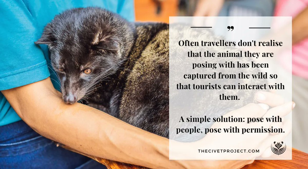 On this #TravelTuesday, we encourage you to embrace responsible tourism to help do away with the exploitation of wildlife in the tourism industry. #Travel #Conservation #AnimalWelfare #TravelTips #TravelWithPurpose #PoseWithPermission #ResponsibleAdventures