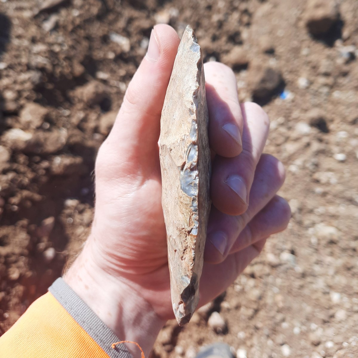 cfa_archaeology's tweet photo. We were beyond excited to find this flint hand axe during excavations in the south of England. The edge still looks sharp!
#HandAxe #Stone #Artefact #StarFind https://t.co/gdKfdn1De5