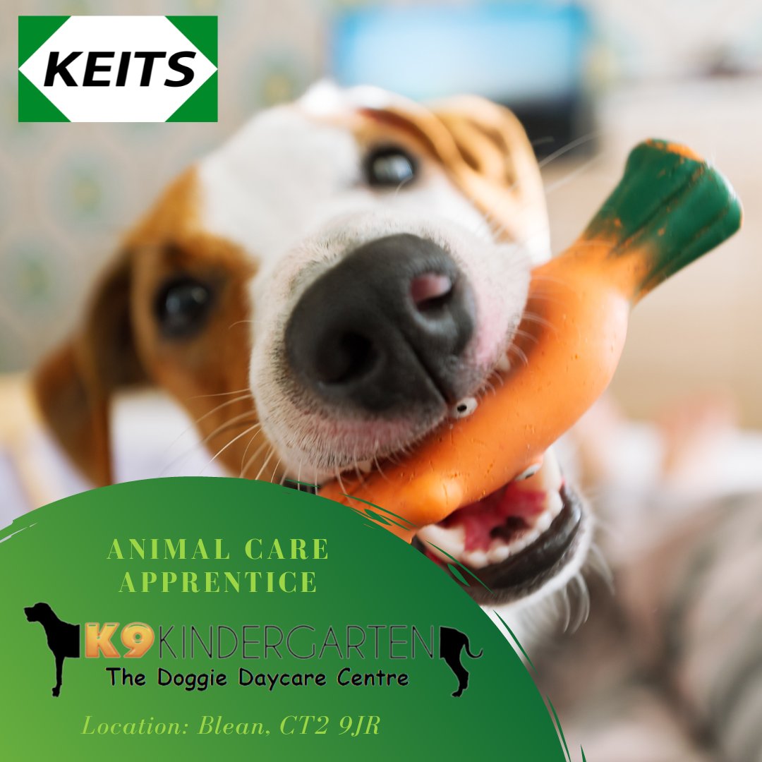 NEW Animal Care Apprentice opportunities in Kent!

K9 Kindergarten are recruiting for two new apprentices.
Apply now 👉 keits.co.uk/apprentice_vac…

#apprenticeships #jobswithdogs #jobsinkent #careerswithdogs #careerswithanimals