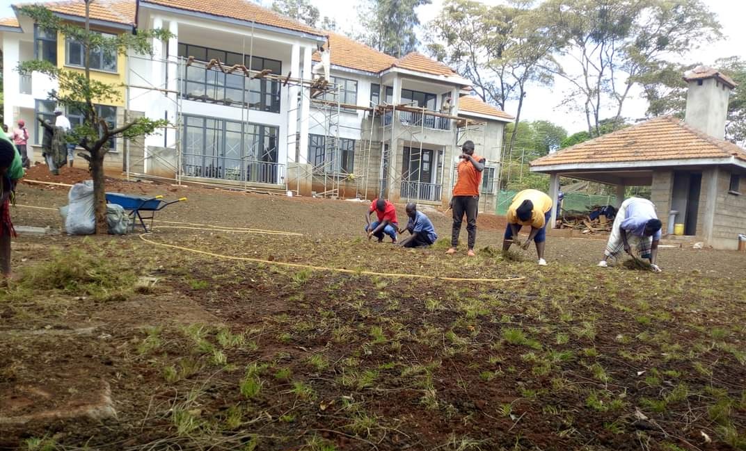 MV_crafts's tweet photo. Our landscaping services are not an eyesore like many have encountered. call us at 0726595809.
Tirries jesus truth app partey jalang'o gumbo njugush wangui kuwait blankets &amp; wine rice https://t.co/ZkoyLH5Qhp