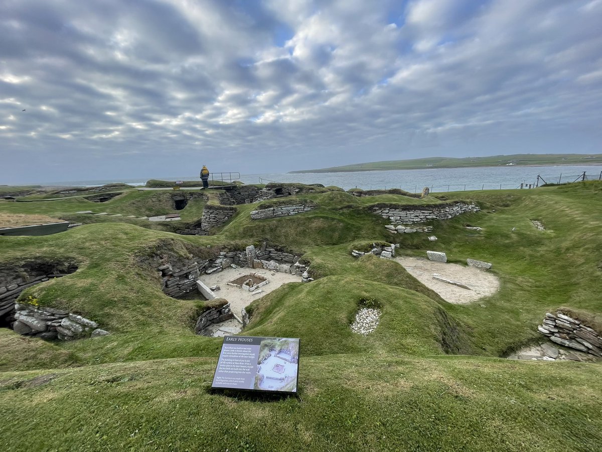 LilyFrameMSYP 🏳️‍🌈 tweet media