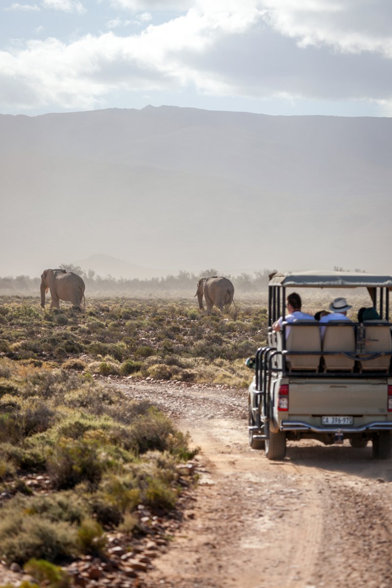 Inverdoorn (@inverdoorn) on Twitter photo Inverdoorn Big 5 Private Game Reserve - now less 20% until the end of August. We're only 2.5 hours from Cape Town in the Ceres Karoo!
Tap on the link to book online: inverdoorn.com
or
Contact Reservations:
0214307260 | info@inverdoorn.com Inverdoorn Big 5 Private Game Reserve - now less 20% until the end of August. We're only 2.5 hours from Cape Town in the Ceres Karoo!
Tap on the link to book online: inverdoorn.com
or
Contact Reservations:
0214307260 | info@inverdoorn.com