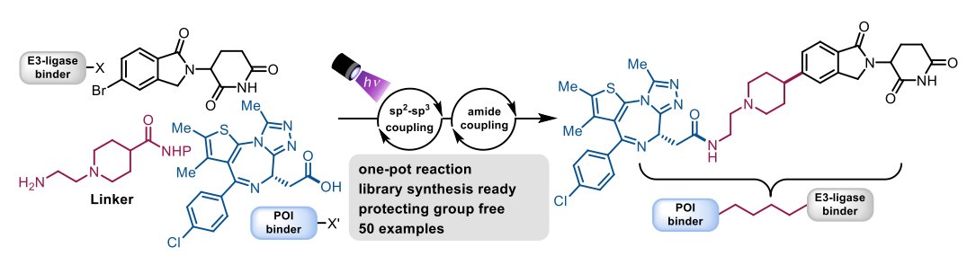 matthias_kmb's tweet image. I am proud to share our #PROTAC library approach to access #CRBN PROTACs via photoinduced C-C coupling and amide coupling in one-pot fashion. Check it out as preprint here: chemrxiv.org/engage/chemrxi….