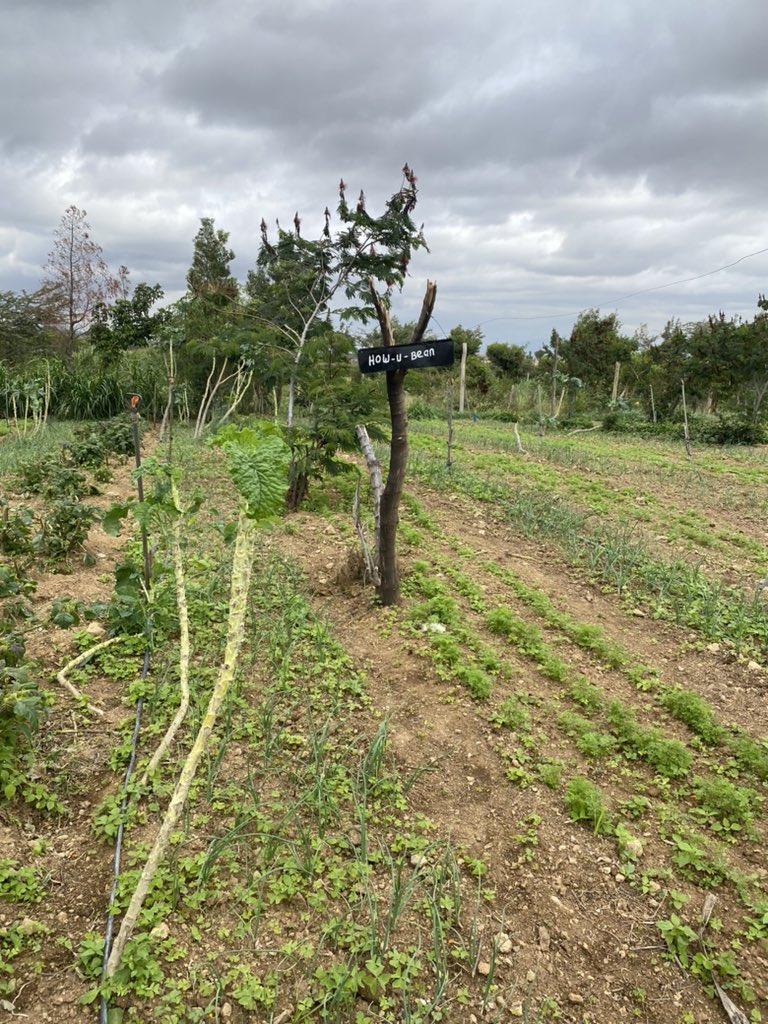 Route to Food tweet media