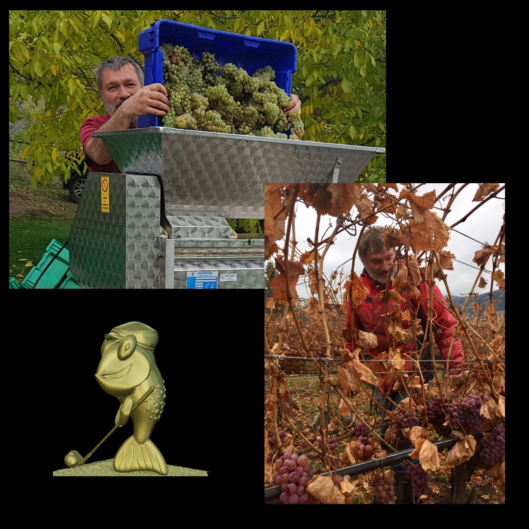 Kamloops & District Chamber (@kamloopschamber) on Twitter photo 