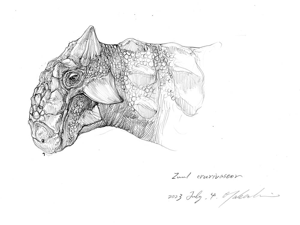 小田 隆 Oda Takashi on X