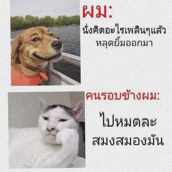baekdoracute's tweet photo. เห็นอันนี้แล้วขำ 5555555555555555555

ยิ่งมองรูปยิ่งขำช่วยด้วย 55555555555555 https://t.co/wpwsvbiC8M