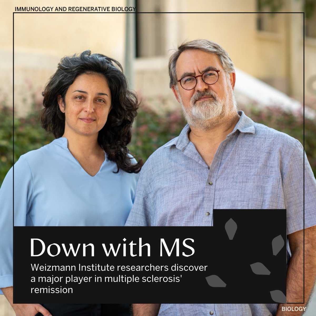 WeizmannScience's tweet photo. More than 2.5 million people worldwide have multiple sclerosis; around 85% of them are diagnosed with the relapsing-remitting form of the disease. (1/6) https://t.co/OO9J1cJeq1