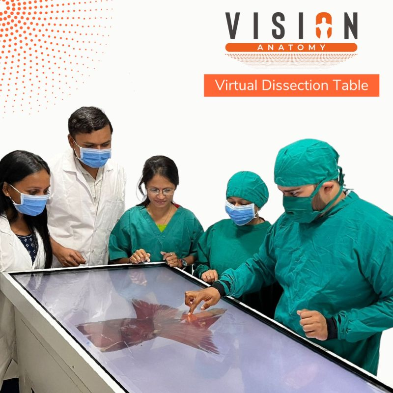 3dsurgical's tweet photo. Whether you’re a curious student embarking on your first exploration or a healthcare professional aiming to deepen your understanding, our virtual dissection table offers an interactive journey into the human body.

Know more: https://t.co/PnIohTtqTc

#VirtualDissectionTable https://t.co/f79C2yf5IJ