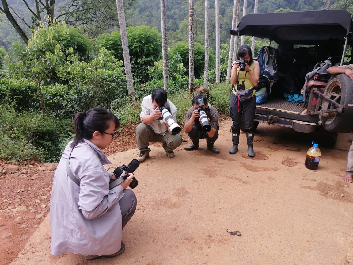 BandW_Team's tweet image. The special Herping and Wildlife tour guided by Dulan Ranga of our Team. 

birdandwildlifeteam.com Sri Lanka 

#herp #herpetology  #herpphotography #wildlifelovers #wildlifephotography