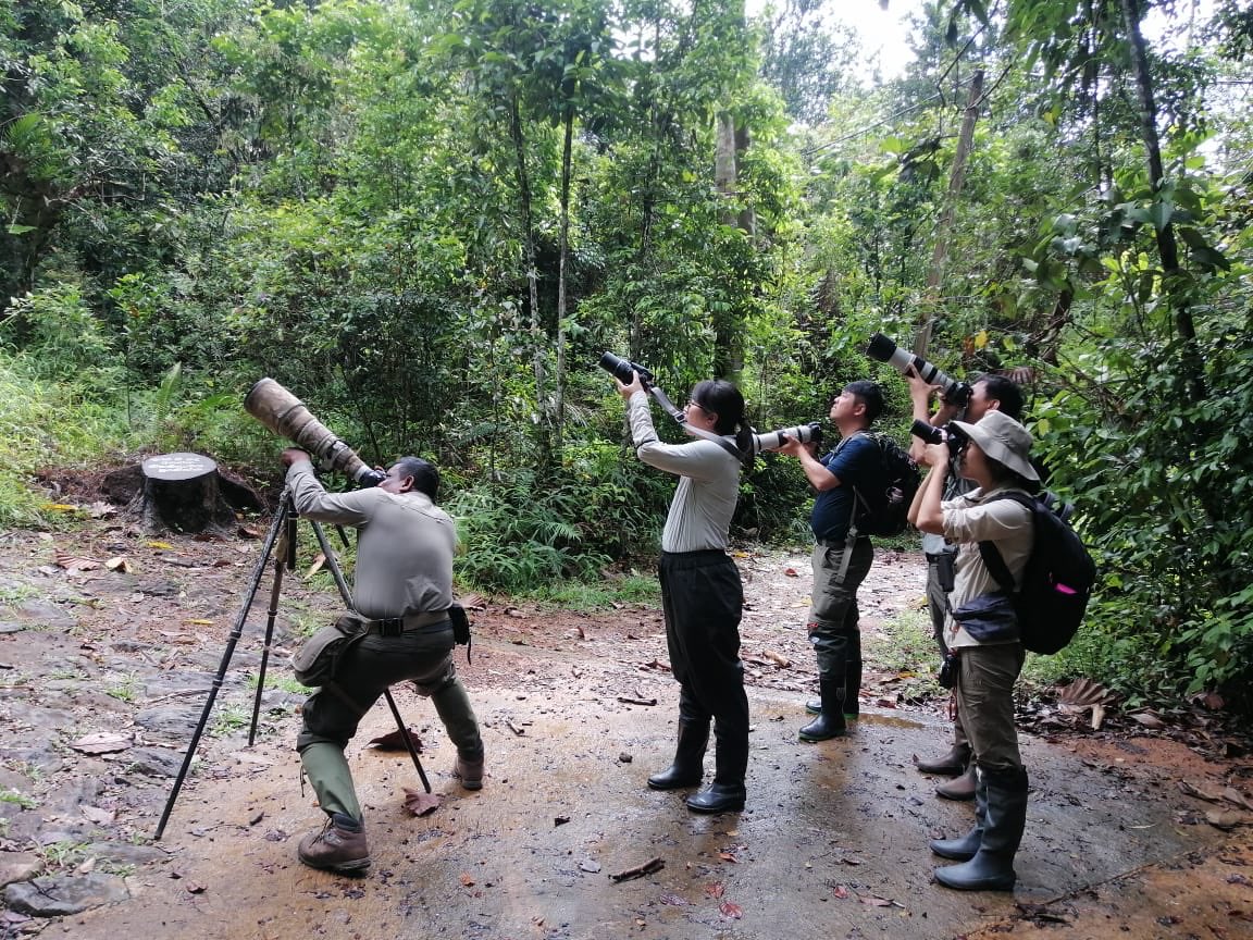 BandW_Team's tweet image. The special Herping and Wildlife tour guided by Dulan Ranga of our Team. 

birdandwildlifeteam.com Sri Lanka 

#herp #herpetology  #herpphotography #wildlifelovers #wildlifephotography