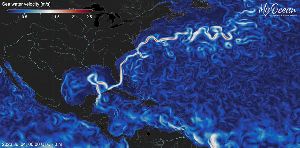 #DYK that the #GulfStream is a powerful current〰️ that transports warm water from the Gulf of Mexico to the Atlantic #Ocean❓

The #CopernicusMarine Service monitors it, as it is vital for understanding the Earth's heat balance 🌡️

⬇️Gulf Stream visualised on #MyOceanViewer