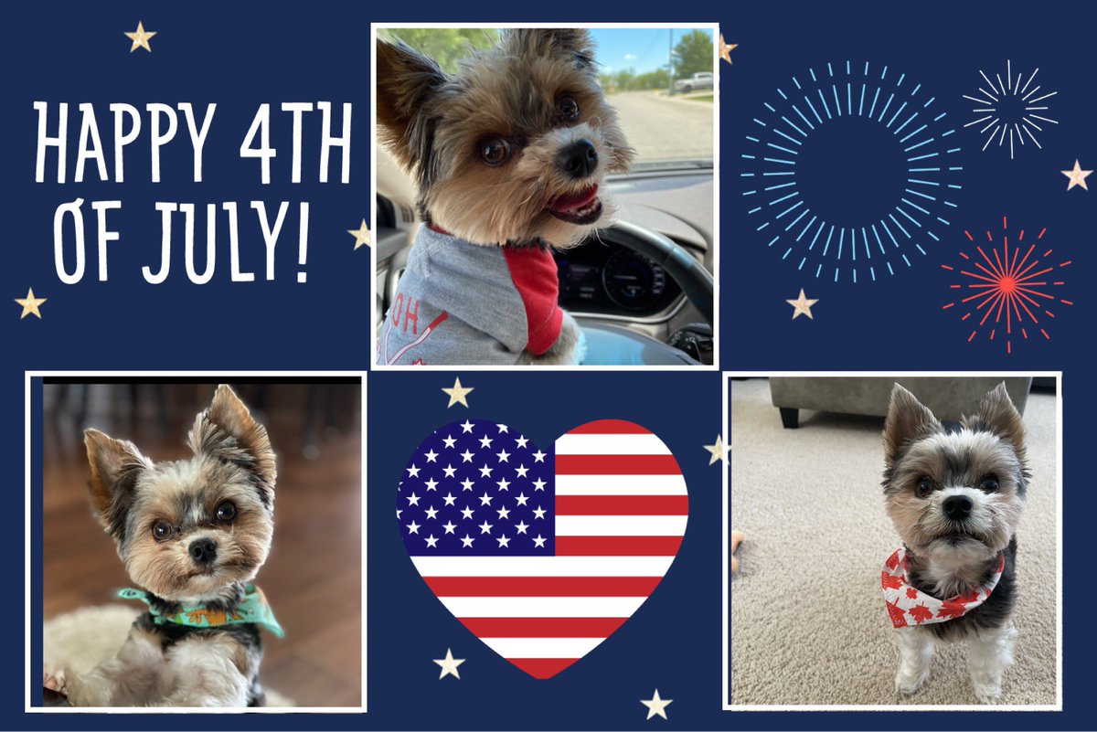 CoryJoy's tweet image. Happy July 4th to all my American 🇺🇸 friends 🤷🏻‍♀️❤️🫶🏼🐾love Gio 🥰👋🏻#4thofJuly2023