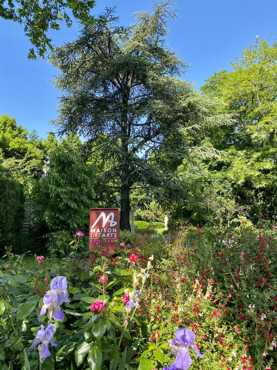 MDA_Chatillon's tweet photo. Le jardin de la Maison des Arts est ouvert du 3 au 28 juillet du lundi au vendredi de 14h à 19h ! Vous pourrez admirer des photographies retraçant l’univers artistique d'Alice Gauthier et également venir consulter des livres dans notre bibliothèque éphémère ! 🌿 🌞 https://t.co/5LZiXwWkPX
