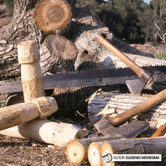 EugenioMonesma's tweet photo. ¿Has jugado alguna vez a los #BIRLOS? 🪵

Una #noguera deteriorada por el paso de los años sirvió en el año 2001 de materia prima para elaborar estos curiosos #bolos de #madera.

📽️ Si todavía no lo has visto, puedes ver el documental COMPLETO aquí: https://t.co/nMKGv4btQ0 https://t.co/SAxHVUAnro