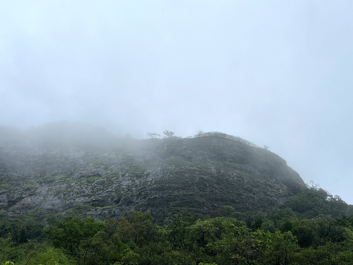 MUMBaIndiansFan's tweet photo. Soul Travels....Love Grows ❤
#MonsoonTwitter #Traveller #Lonavala #photography #TwitterNatureCommunity #amatuerphotography https://t.co/1EtuqEoNYr