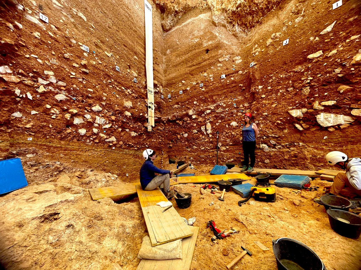 #Atapuerca2023 #GranDolina #TD7