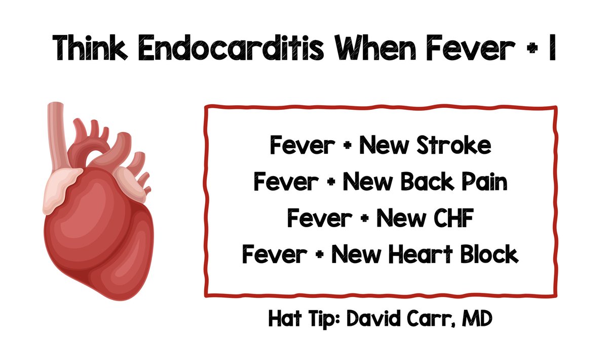 srrezaie's tweet image. Think Fever + 1 to Find Endocarditis

youtube.com/shorts/L6LRnU9…

#FOAMed #Fever #Endocarditis 

HT @davidcarr333