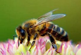 Colombe Warin 🇪🇺 tweet media