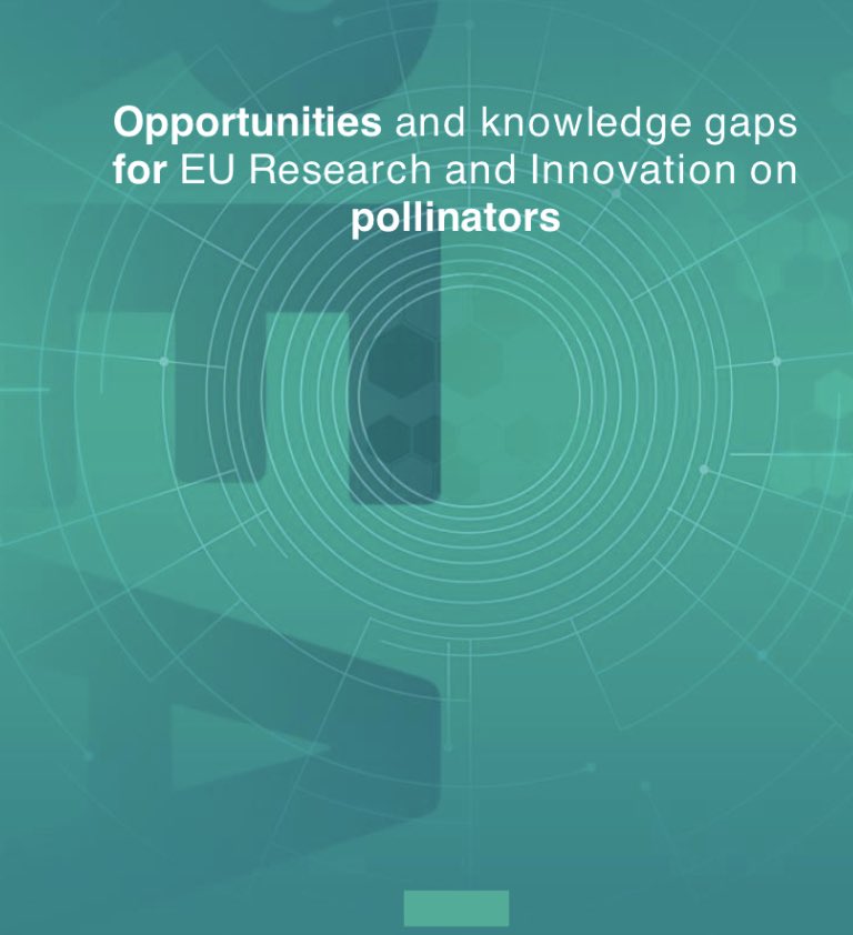 Colombe Warin 🇪🇺 tweet media