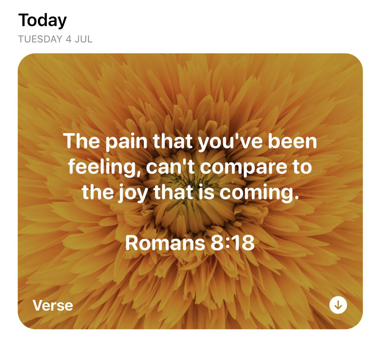 aaileen_7's tweet photo. Wow 🙏🏼🤍 https://t.co/tRwDn2npvL