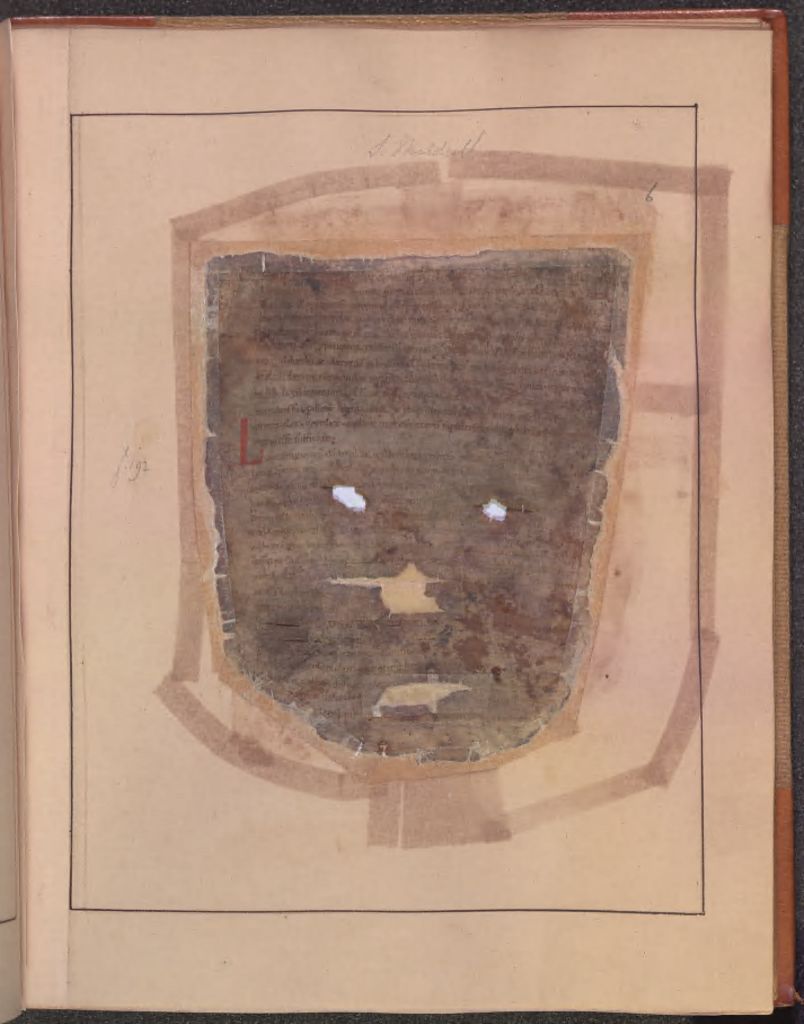 Medieval Manuscripts tweet media