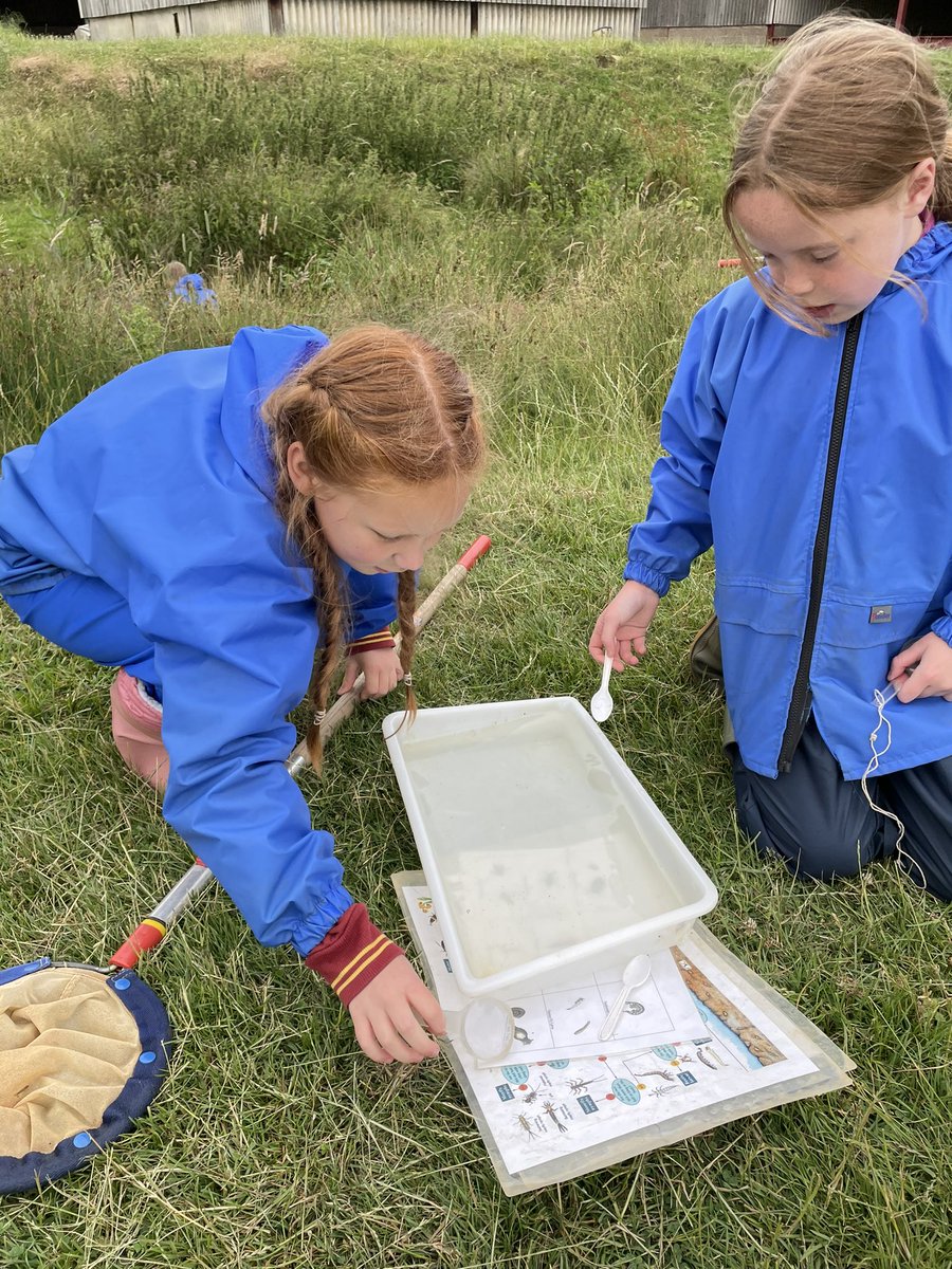 Barton Seagrave Prim tweet media