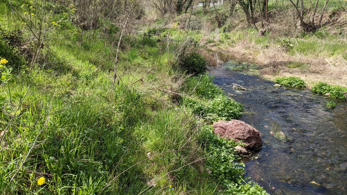 🚧The construction of the two BIODAPH reactors at the Quart WWTP demonstration site (Spain) are under construction since 30th June! 

💧🌱The Onyar River quality will be improved and the surrounding ecosystem will benefit from improved aquatic flora and fauna! 

#LifeBIODAPH2O