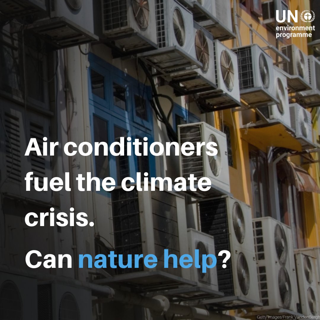 UN Environment Programme on Twitter "As summer arrives in the northern