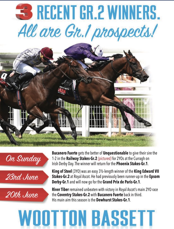 #WOODED G1 Fastest 🚀son of #WOOTTONBASSETT at  @SwettenhamStud 2023..