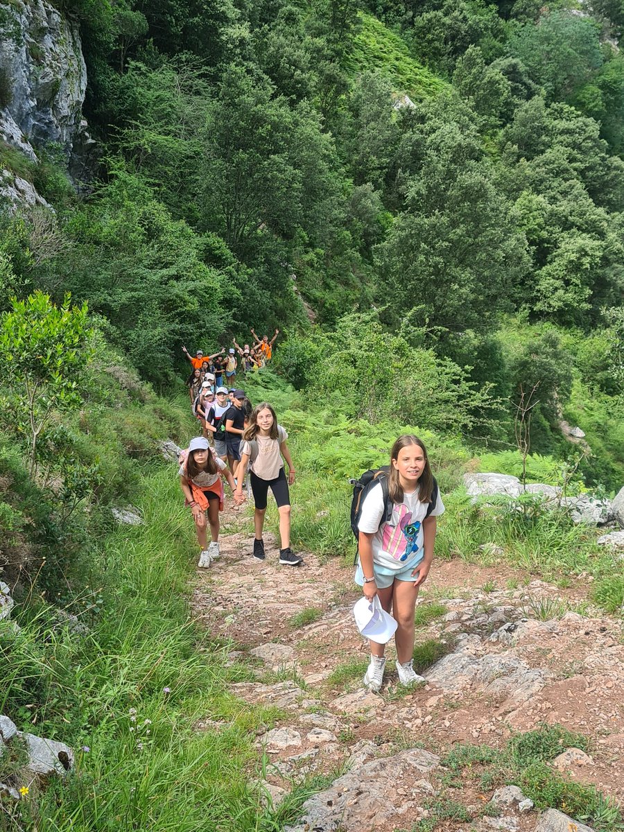 deportesdipusal's tweet image. En #CampaBuelna nos adentramos en plena #naturaleza de Cantabria y realizamos la preciosa ruta de Las Agüeras, en la garganta del Deva @deportesdipusal  finalizando en la #localidad de #Cicera (Peñarrubia). Mucho ánimo chic@s 💪💪 @dipusalamanca