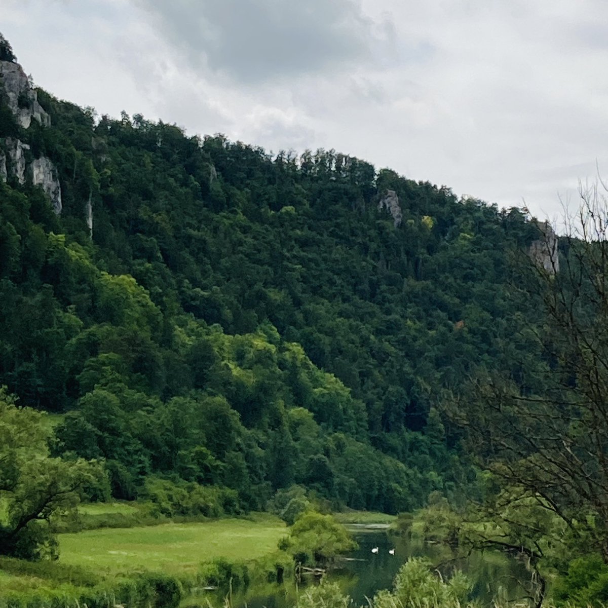 sonjaapp's tweet photo. Hier habe ich meine #Flaschenpost Nr. 9 in der #Donau verschickt. Hausen im Tal gehört zu #Beuron und ist nur wenige km von Schloss #Werenwag entfernt. Meine Eltern haben in Beuron geheiratet und meine Großeltern haben sich auf Schloss Werenwag kennengelernt. #Schicksal https://t.co/PrHKzwaV8F