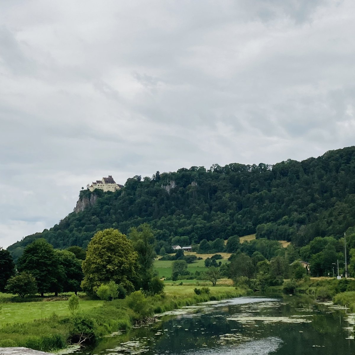sonjaapp's tweet photo. Hier habe ich meine #Flaschenpost Nr. 9 in der #Donau verschickt. Hausen im Tal gehört zu #Beuron und ist nur wenige km von Schloss #Werenwag entfernt. Meine Eltern haben in Beuron geheiratet und meine Großeltern haben sich auf Schloss Werenwag kennengelernt. #Schicksal https://t.co/PrHKzwaV8F