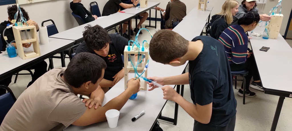 High school students dived into hands-on experiments, ship design, robotics, and more at FAU's Seatech. From research labs to autonomous vehicles, they're shaping the future of innovation!

#fauengineers #fauengineering #engineerthefuture