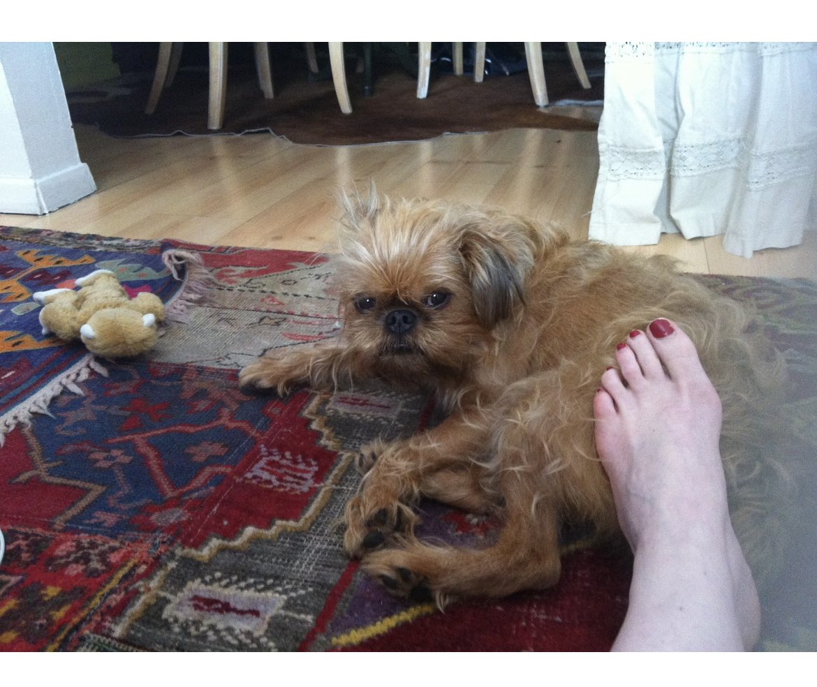 CapeFloy's tweet image. Eight year before I wasn’t funny on the Chelsea comedy, I was a graduate with “package &amp;amp; 401k” on the lips. 
#standup #jacketrequired 
Gumption. Or persistence. This reporter prefer the danger of IOUs