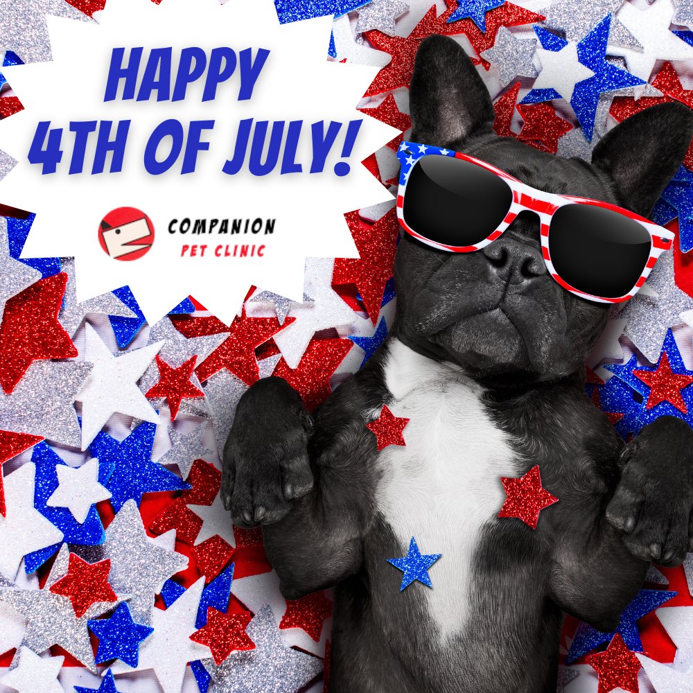 Have a fun and safe 4th of July! 🎆

#CompanionPetClinic #NorthPhoenix #veterinarian #4thofJuly #July4th #fourthofjuly #independenceday
