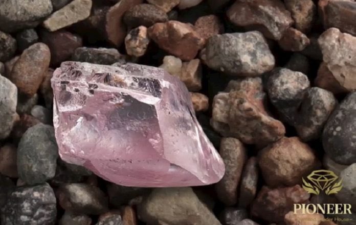 NaturalDiamond8's tweet photo. Protea Pink vendido por 8 milhões de dólares norte-americanos

https://t.co/SEjdqbiFOD

#Diamantes #joias #NaturalDiamonds #diamantifera

#ProteaPink #RosaDeslumbrante #LeilãoMilionário #RiquezaEmRosa #PedraDosSonhos #InvestimentoBrilhante #LuxeEmRosa #RosaValiosa https://t.co/1sgbYAIBZA