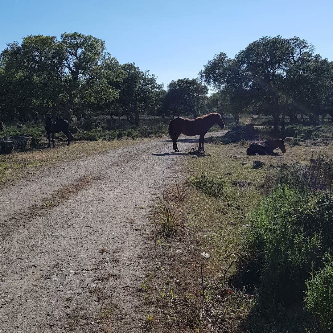 Albina Bianca Maria tweet media