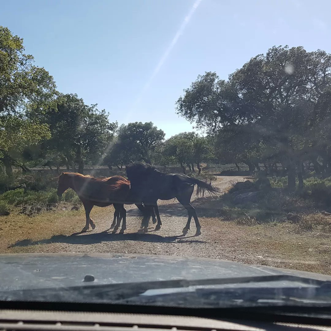 Albina Bianca Maria tweet media