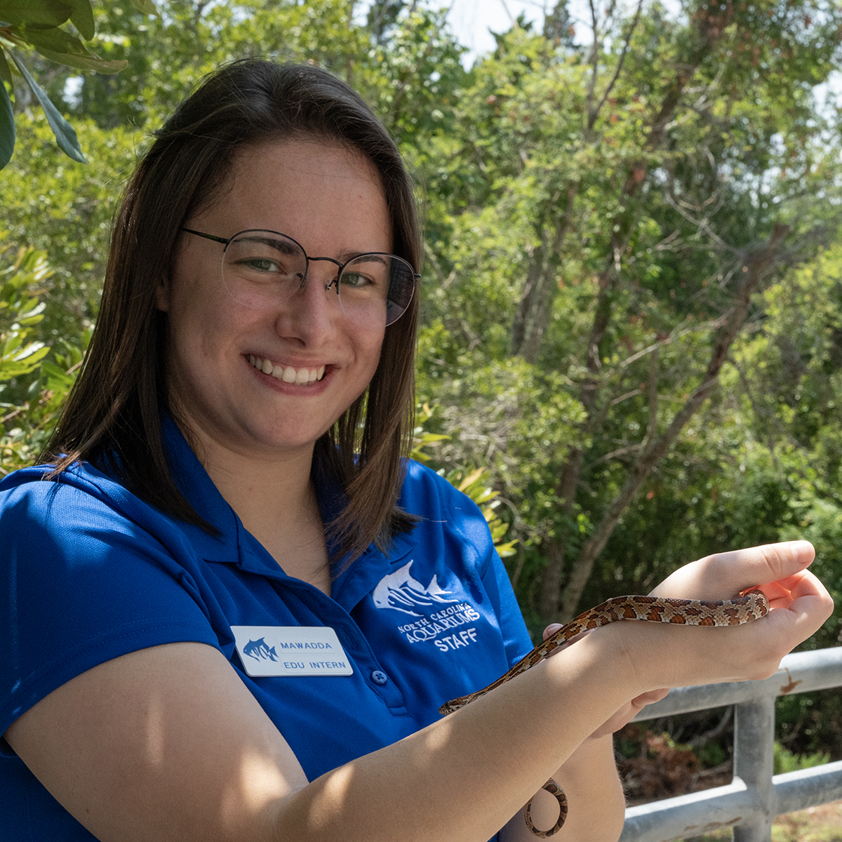 NC Aquarium at PKS tweet media