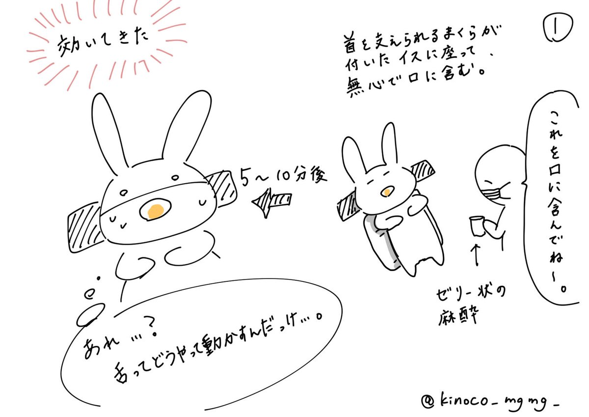 kinoco_mgmg_'s tweet photo. 先日の、健康診断での初めての胃カメラ。 https://t.co/jnvLTMfhAp