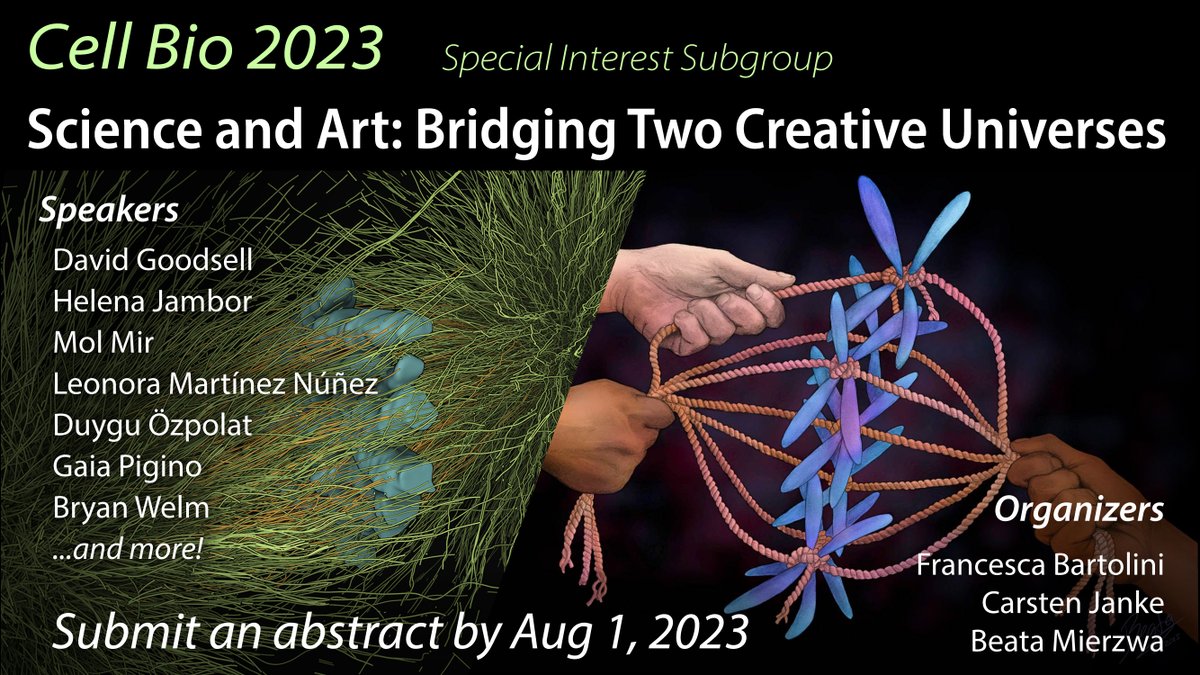 Bartolini Lab (@bartolinilab) on Twitter photo Are you passionate about #SciArt and attending #CellBio2023? Submit an abstract to our subgroup on science and art by Aug 1 and join the amazing <a href="/dsgoodsell/">David S. Goodsell 🏳️🌈</a> <a href="/helenajambor/">Helena Jambor is gone elsewhere.</a> <a href="/molecularmirror/">mol mir</a> <a href="/leonoramtzn/">Leonora Martínez Nuñez, PhD @leonoramartinez.bsky.</a> <a href="/biyolokum/">B. Duygu Özpolat, Ph.D.</a> <a href="/GaiaPigino/">Gaia Pigino</a> & <a href="/BryanWelm/">Bryan Welm</a> for a talk. Please RT! #AcademicTwitter Are you passionate about #SciArt and attending #CellBio2023? Submit an abstract to our subgroup on science and art by Aug 1 and join the amazing <a href="/dsgoodsell/">David S. Goodsell 🏳️🌈</a> <a href="/helenajambor/">Helena Jambor is gone elsewhere.</a> <a href="/molecularmirror/">mol mir</a> <a href="/leonoramtzn/">Leonora Martínez Nuñez, PhD @leonoramartinez.bsky.</a> <a href="/biyolokum/">B. Duygu Özpolat, Ph.D.</a> <a href="/GaiaPigino/">Gaia Pigino</a> & <a href="/BryanWelm/">Bryan Welm</a> for a talk. Please RT! #AcademicTwitter